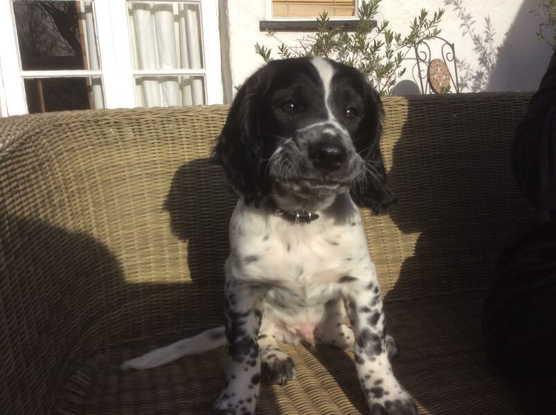 Thread 4 - TalkExiles: "The Planet Goes On Being Round"