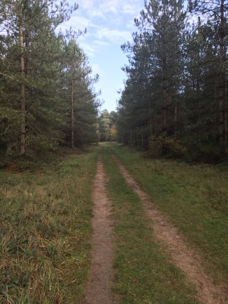 Places to live for off road running/biking