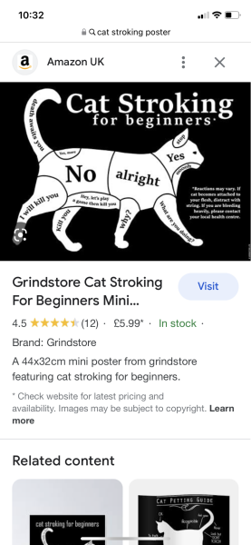 Cat biting