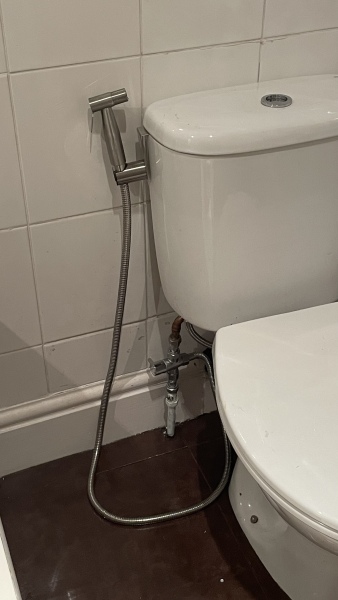 To want a bidet / jet in my new bathroom