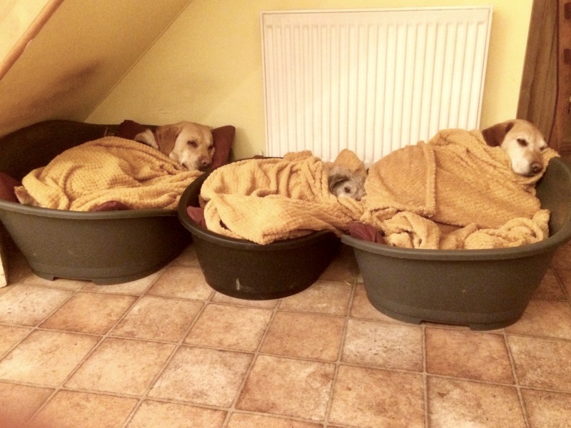 Wearing a jumper overnight in a cold room