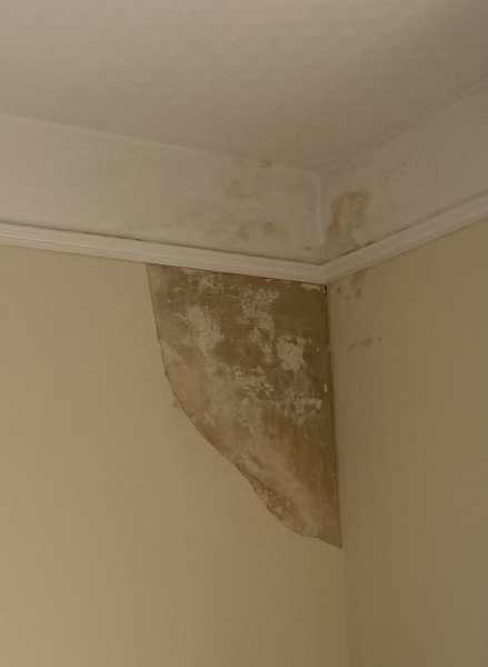 Thinking of offering but water damage