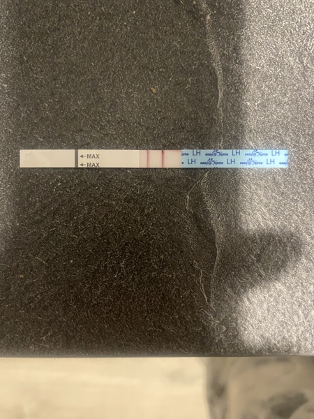 Positive opk?