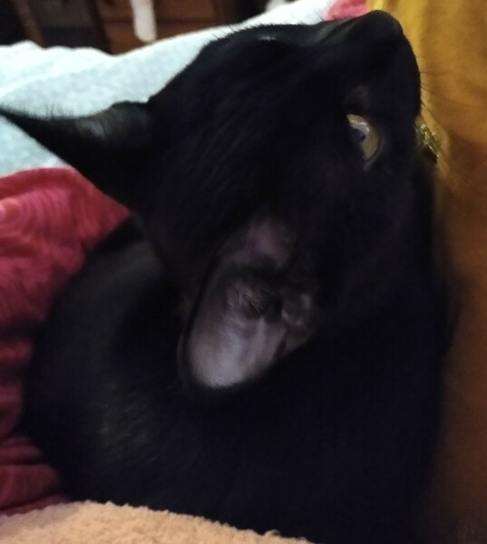 Thread 3 - TalkExiles: "The Planet Goes On Being Round"