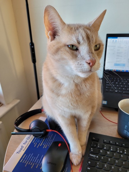 Thread 4 - TalkExiles: "The Planet Goes On Being Round"