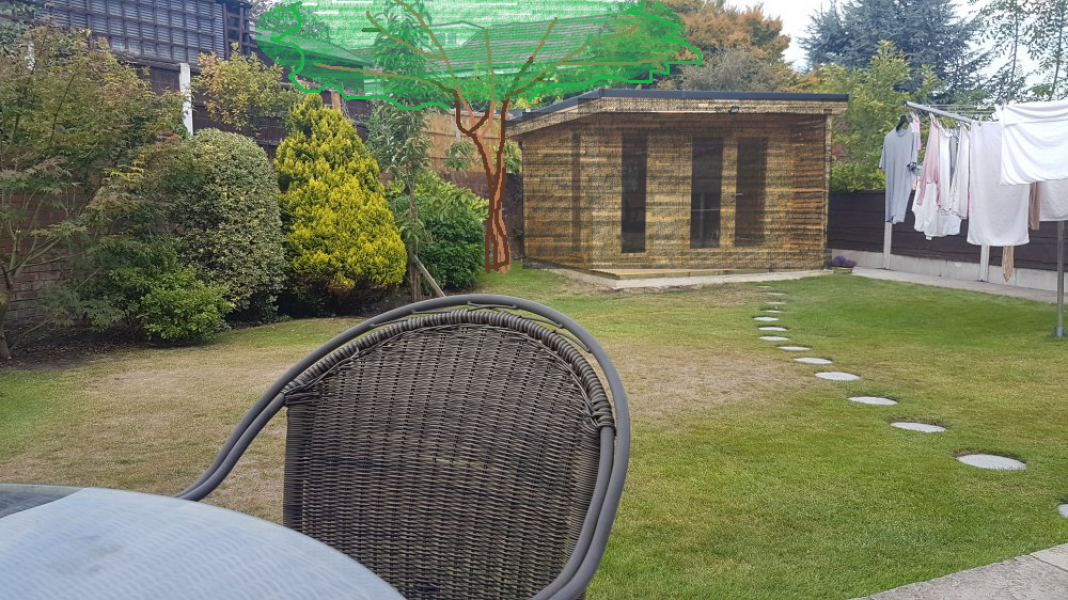 Will a multi stem amelanchiar fit in this space?