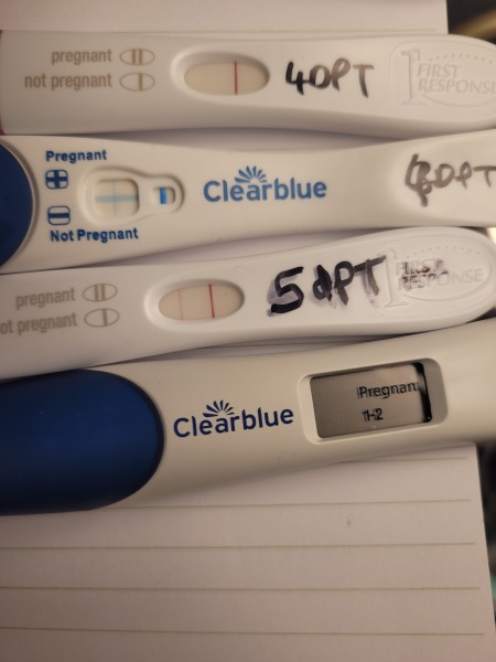 FET/IVF - January 2023