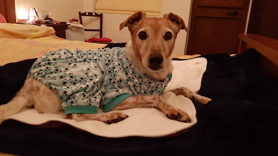 Wearing a jumper overnight in a cold room