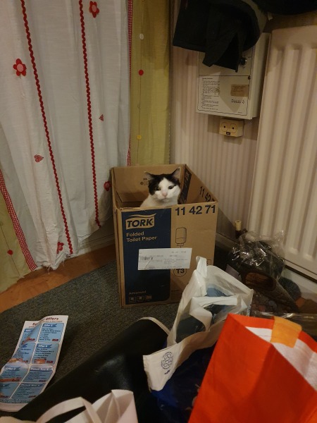 Thread 4 - TalkExiles: "The Planet Goes On Being Round"