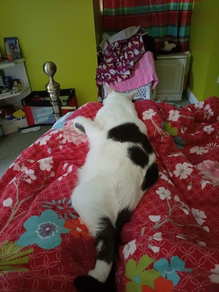 Is it really awful to have a day in bed? 