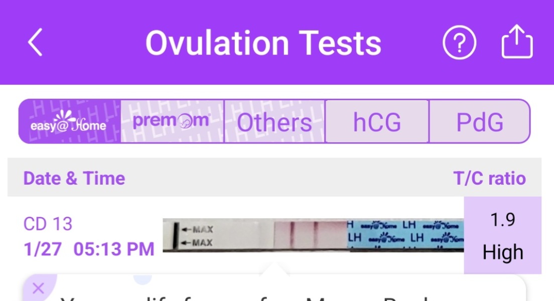 Ovulating around 26/01