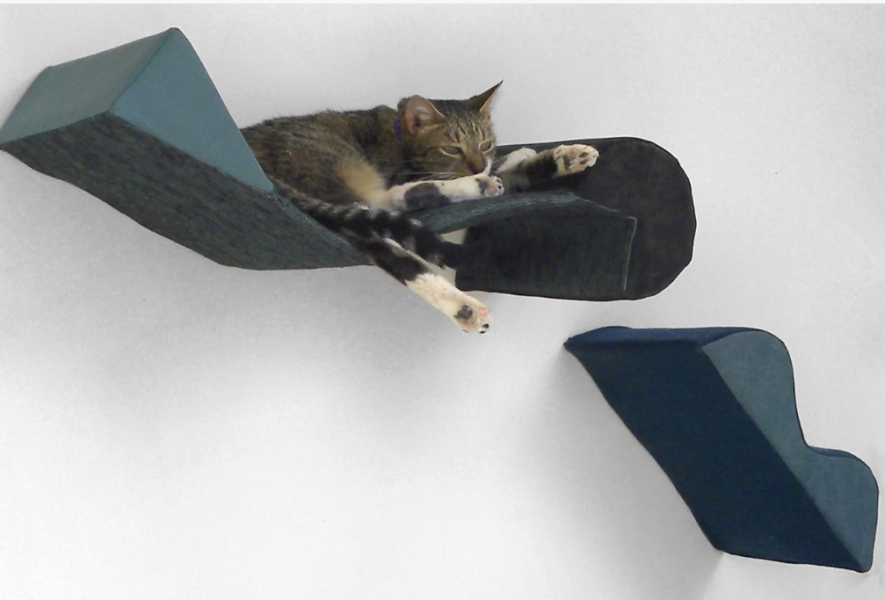 Beautiful Cat Furniture