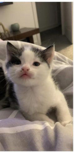 Help! What do I need?
