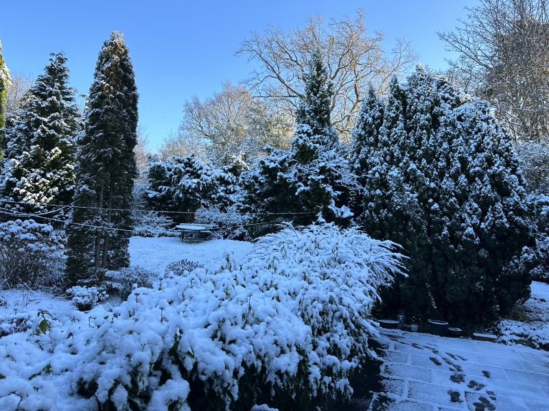 Thread 4 - TalkExiles: "The Planet Goes On Being Round"