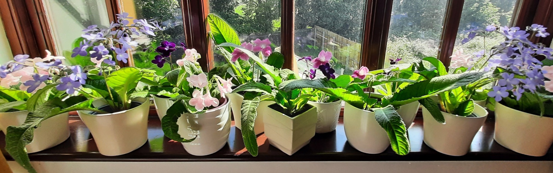 What do you keep on your bedroom window sill? 