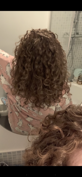 🐌 Fantastic Skincare: Bear Shaped Pseudo Face Vibrators, Don't Ask us What They're For(eo) 🐻