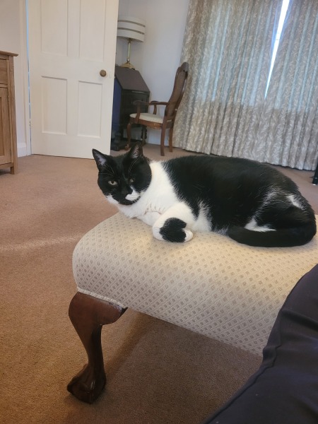 RIP Darling Boy