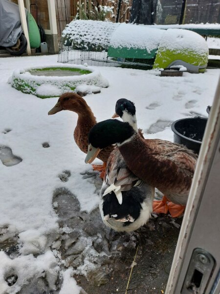 Ukraine Invasion: Part 37