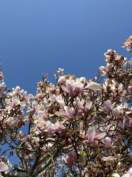 Thread 4 - TalkExiles: "The Planet Goes On Being Round"