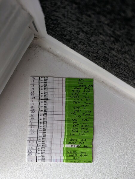 Late ovulation leading to BFP - success storiea please!