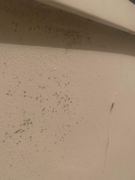 Daughter moved into uninhabitable fiat, help!