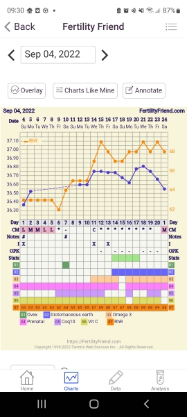 BBT charting...those who are experienced please help!