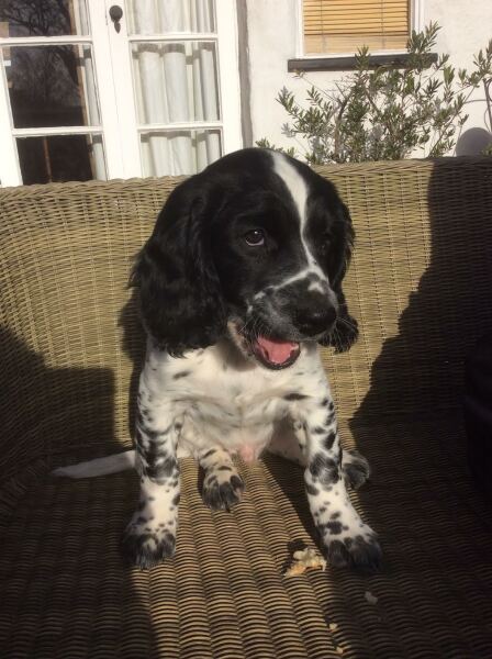 Thread 4 - TalkExiles: "The Planet Goes On Being Round"