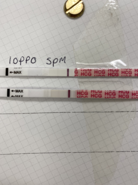 Please help! Line eye? Indent? BFP?