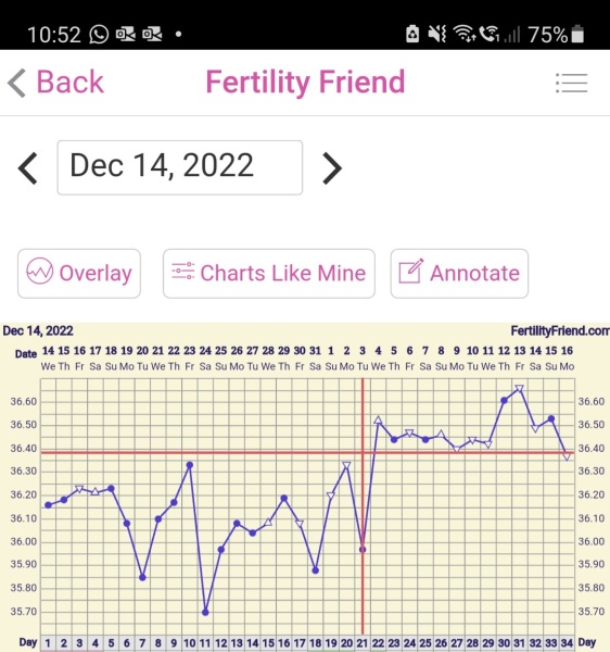 Late ovulation leading to BFP - success storiea please!
