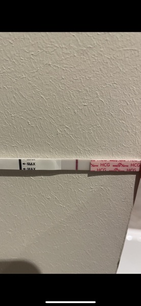 9 dpo super squinty test - turn your brightness up for this one