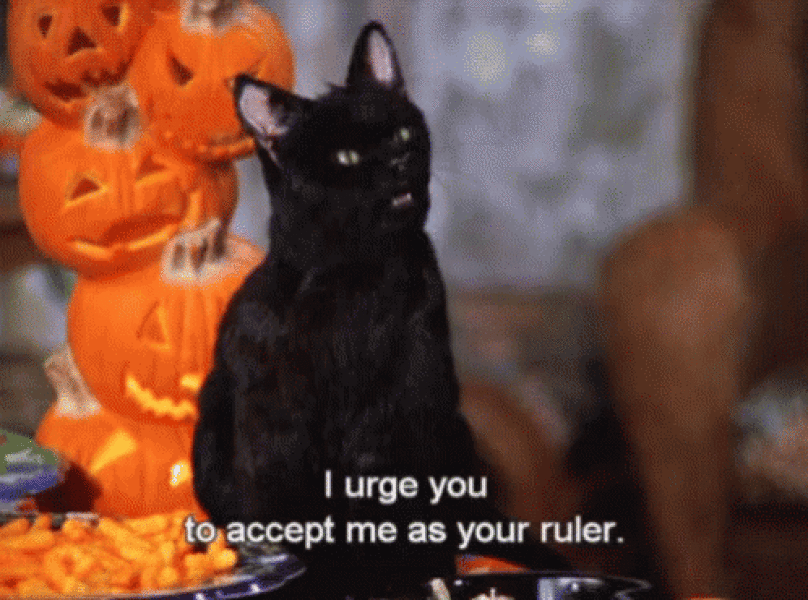 Salem 