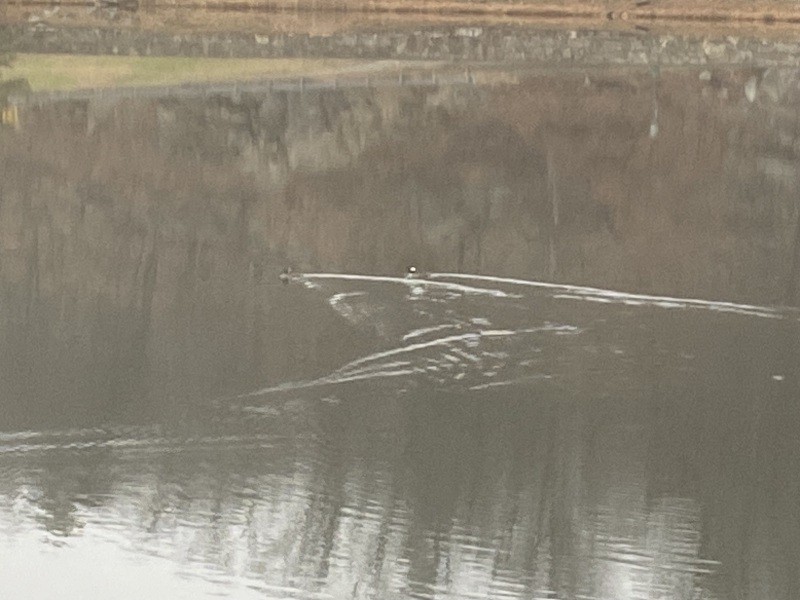 Come and tell me your dull and unexciting news 24: Calmly through the day 