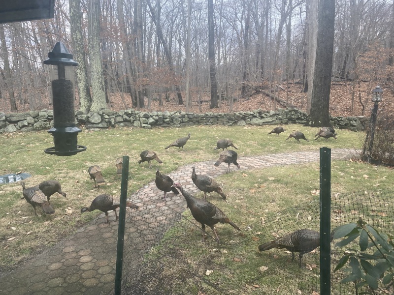 Come and tell me your dull and unexciting news 24: Calmly through the day 