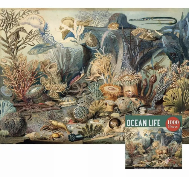 Anyone like to chat about jigsaws? 