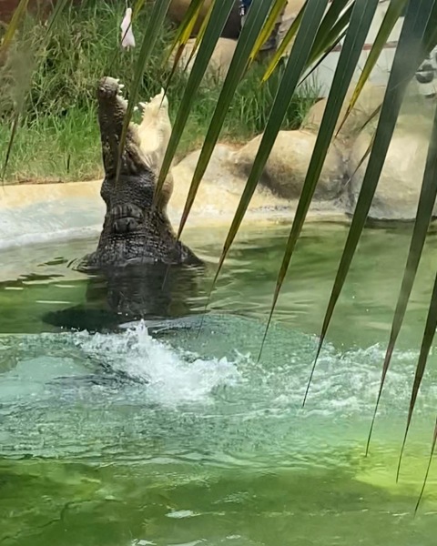 Frugal the flip to make the festivities fun