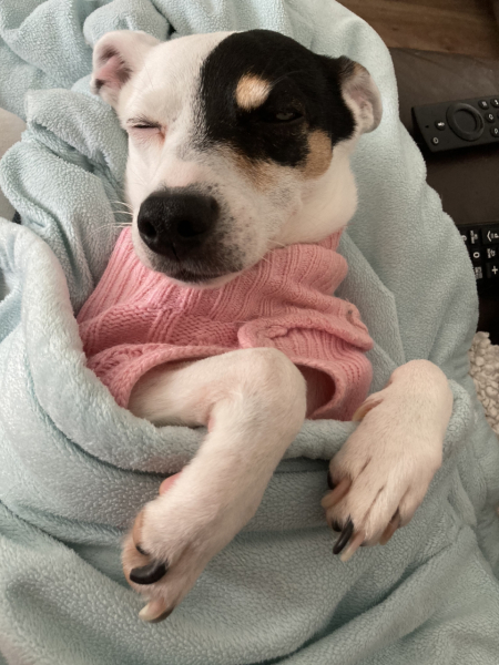 Wearing a jumper overnight in a cold room