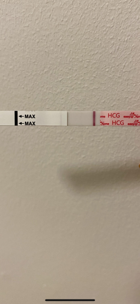 Line eyes? 12DPO