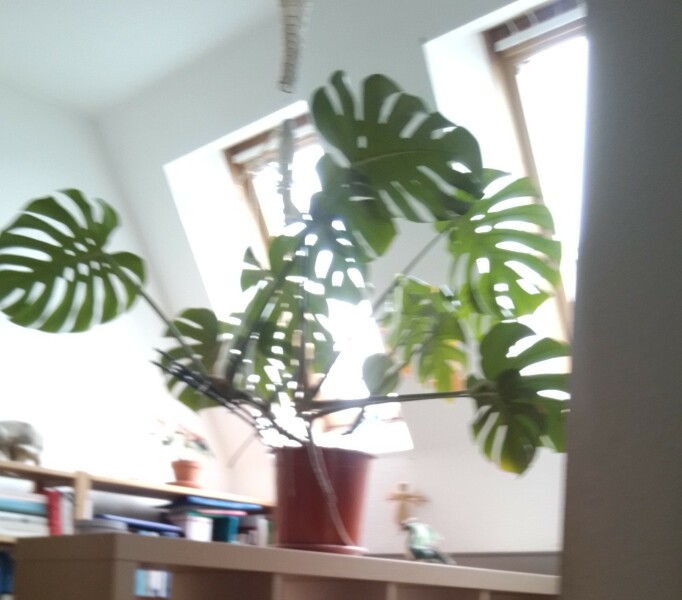 Come and tell me your dull and unexciting news 24: Calmly through the day 