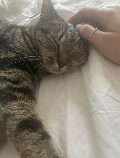 So worried about my cat