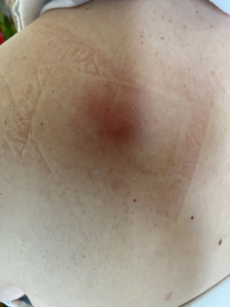 Cultivating a Sporner’s Delight