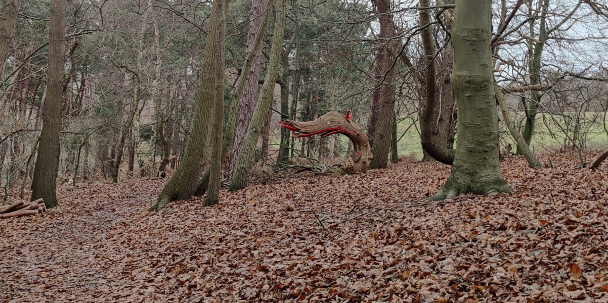 Anyone alone this weekend?