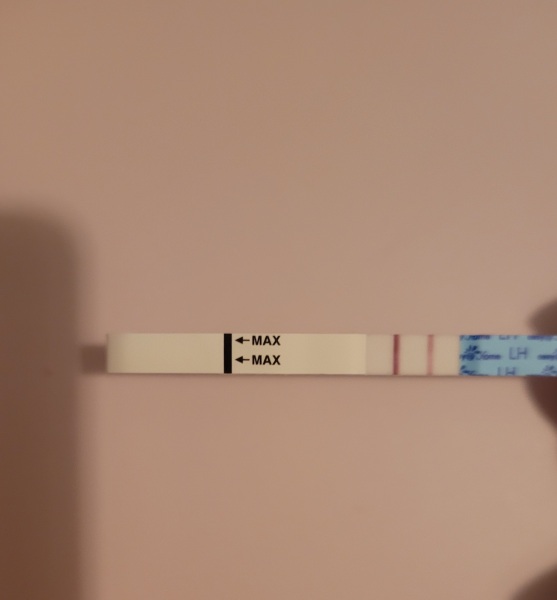 Need someone to tell me if I’m ovulating.