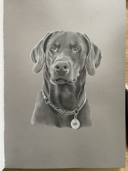 Pet portraits - brutally honest opinions needed 