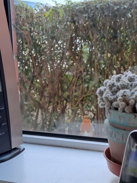 Thread 4 - TalkExiles: "The Planet Goes On Being Round"