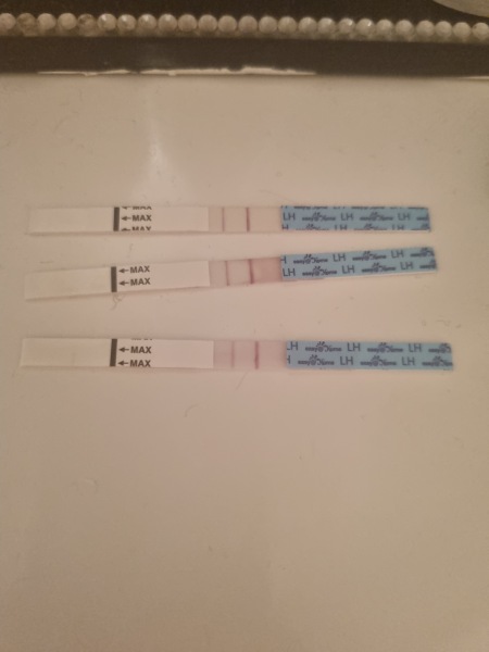 Ovulation test nightmare