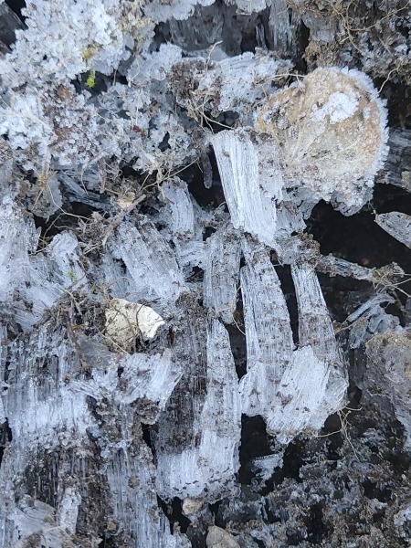 Any Witches Here?- Part 18