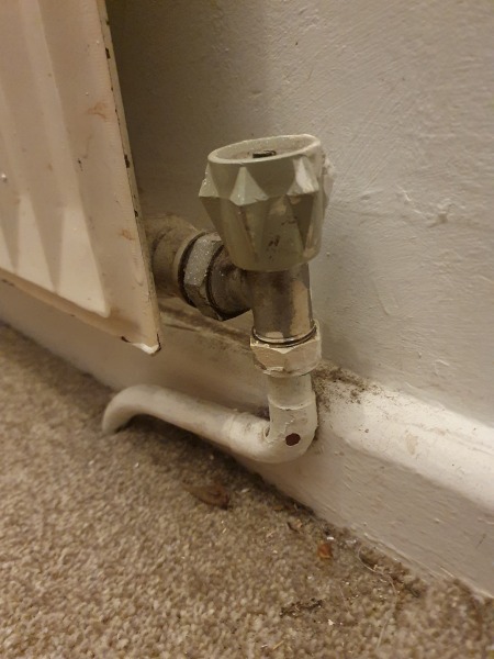 Is a thermostatic radiator valve worth adding and do i already have one