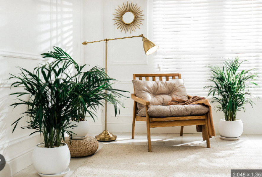 Massive mistake re window blinds