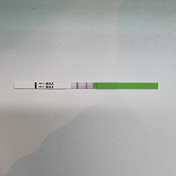 Positive OPK day 55?! 