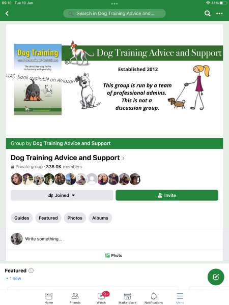 Puppy- learning alone time